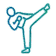 Taekwondo icon